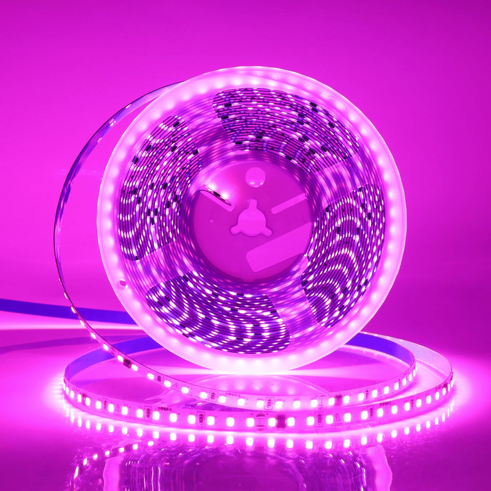 Flexible LED Strip Lights 220V, 2835, 120 LEDs/m, 5-10m