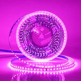 Flexible LED Strip Lights 220V, 2835, 120 LEDs/m, 5-10m
