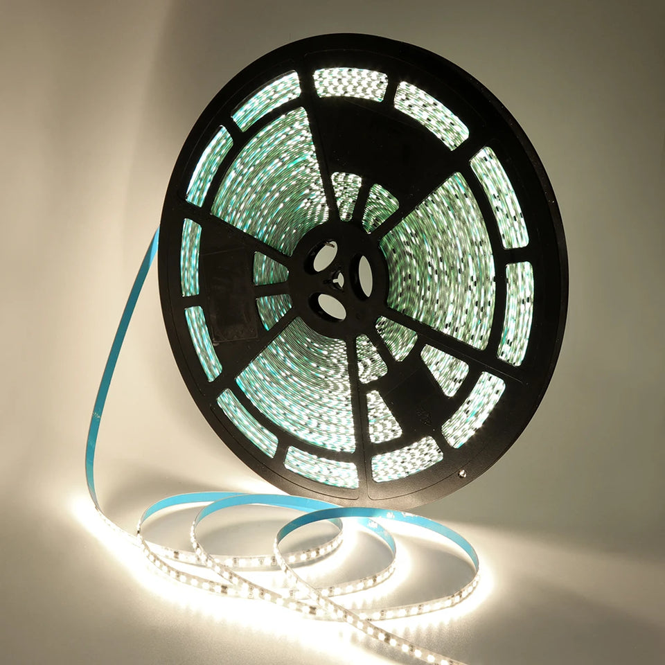 Flexible LED Strip Lights 220V, 2835, 120 LEDs/m, 5-10m