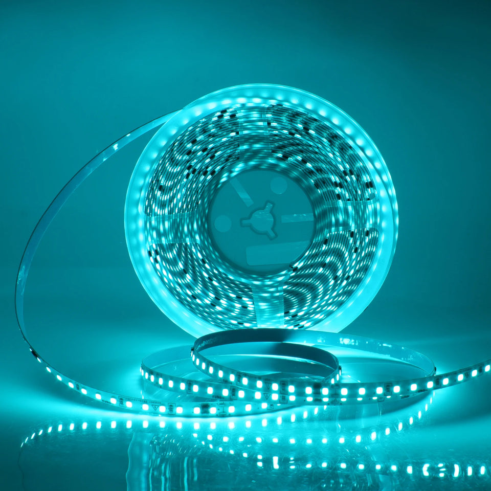 Flexible LED Strip Lights 220V, 2835, 120 LEDs/m, 5-10m